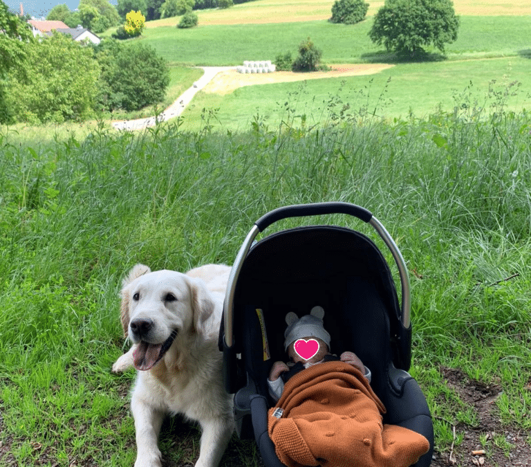 Herzlichen Glückwunsch