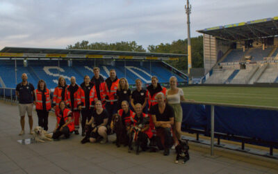 Rettungshunde im Stadion